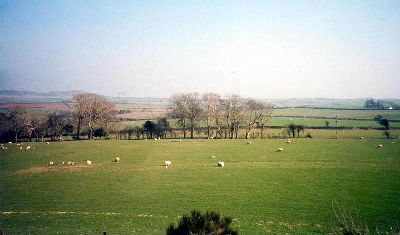 pasture 