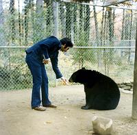 22 I feed the black bear a marshmallow.
