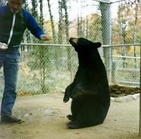 23 Zoo owner with black bear.